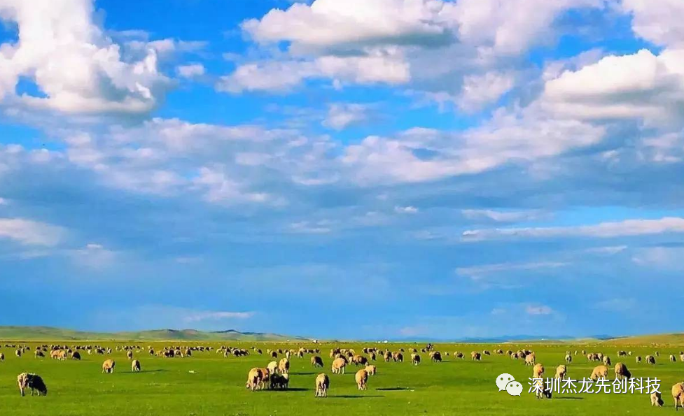 image003.png image003.png